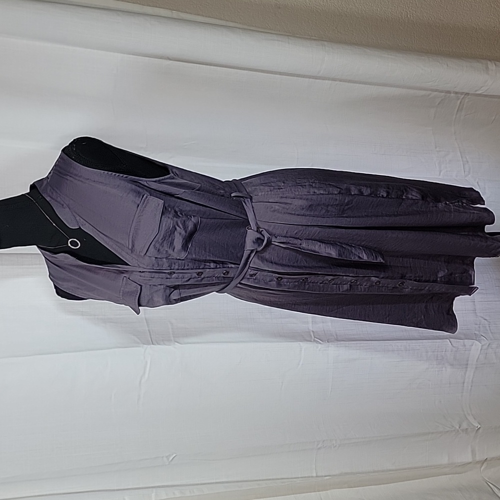 Motherhood Maternity Sleeveless Button-up Dress w/Belt - Picture 13 of 16